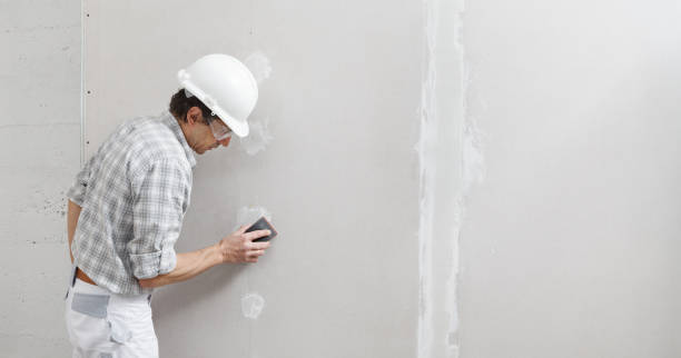 Best Drywall Removal and Disposal  in Sunny Isles Beach, FL